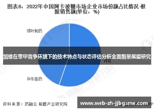 加维在意甲竞争环境下的技术特点与状态评估分析全面前景展望研究